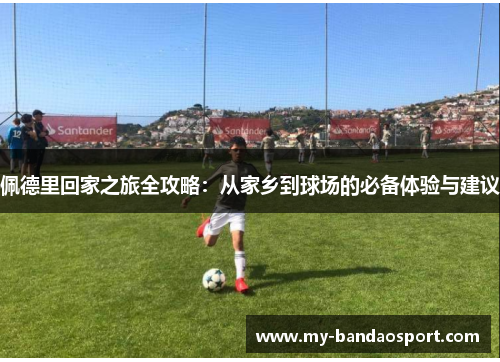 佩德里回家之旅全攻略：从家乡到球场的必备体验与建议