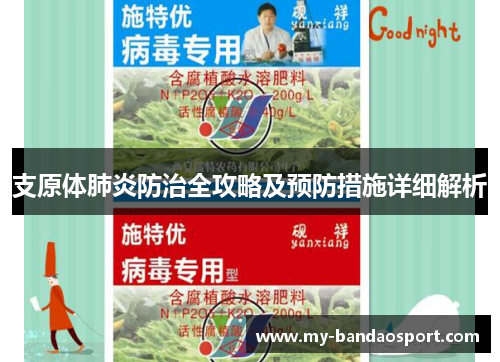 支原体肺炎防治全攻略及预防措施详细解析