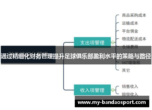 通过精细化财务管理提升足球俱乐部盈利水平的策略与路径