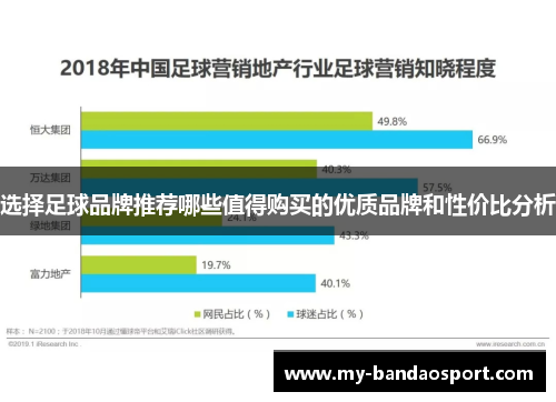 选择足球品牌推荐哪些值得购买的优质品牌和性价比分析