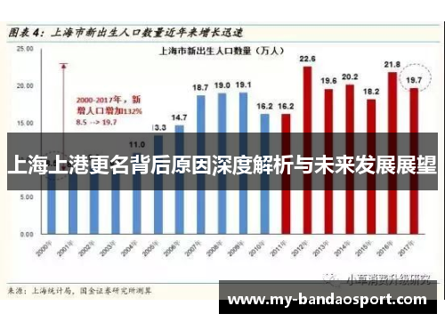 上海上港更名背后原因深度解析与未来发展展望