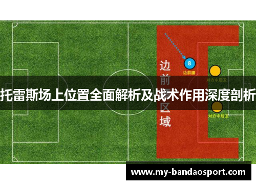 托雷斯场上位置全面解析及战术作用深度剖析