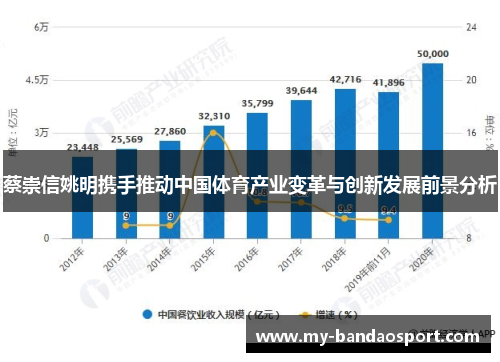 蔡崇信姚明携手推动中国体育产业变革与创新发展前景分析