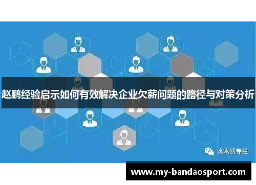 赵鹏经验启示如何有效解决企业欠薪问题的路径与对策分析