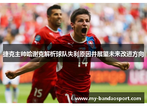 捷克主帅哈谢克解析球队失利原因并展望未来改进方向