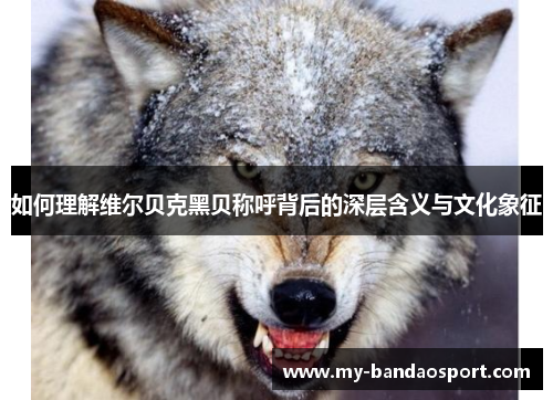 如何理解维尔贝克黑贝称呼背后的深层含义与文化象征 如何理解维尔贝克黑贝称呼背后的深层含义与文化象征