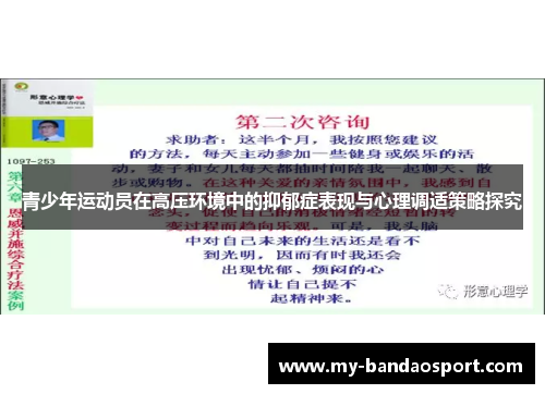 青少年运动员在高压环境中的抑郁症表现与心理调适策略探究 青少年运动员在高压环境中的抑郁症表现与心理调适策略探究