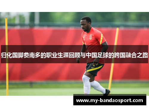 归化国脚费南多的职业生涯回顾与中国足球的跨国融合之路 归化国脚费南多的职业生涯回顾与中国足球的跨国融合之路